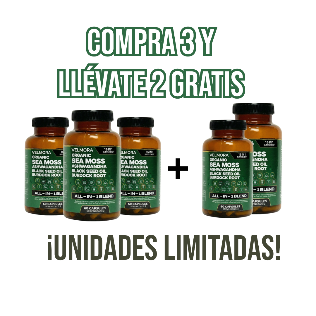Sea Moss Orgánico - 16 Suplementos en 1