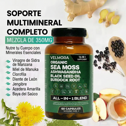 Sea Moss Orgánico - 16 Suplementos en 1