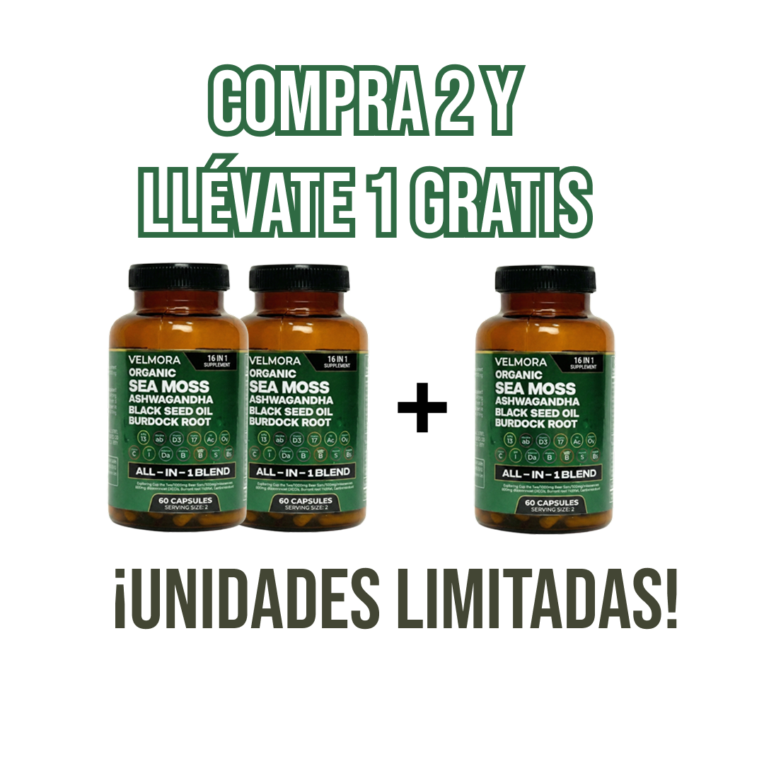 Sea Moss Orgánico - 16 Suplementos en 1