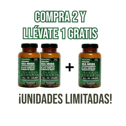 Sea Moss Orgánico - 16 Suplementos en 1