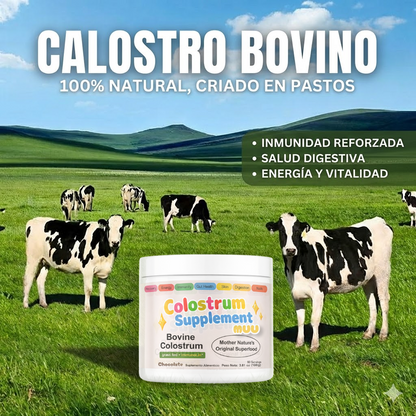 CALOSTRO DE CHOCOLATE